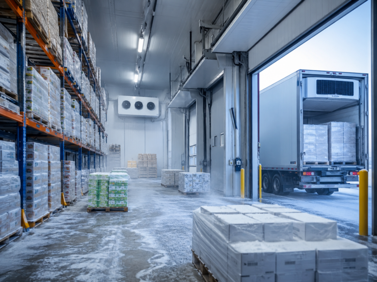 cold storage warehouse with refrigerated pallets